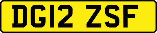 DG12ZSF