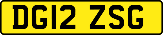 DG12ZSG
