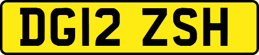 DG12ZSH