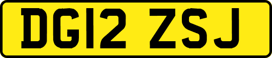DG12ZSJ