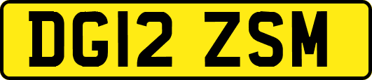 DG12ZSM