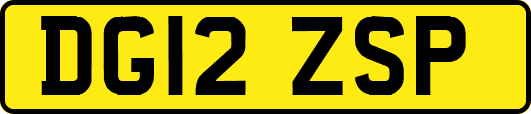 DG12ZSP