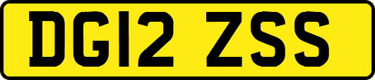 DG12ZSS