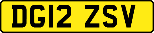 DG12ZSV