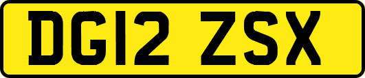 DG12ZSX