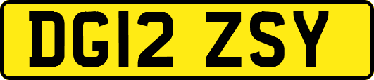 DG12ZSY