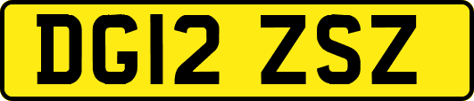 DG12ZSZ