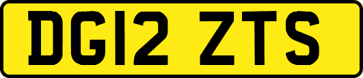 DG12ZTS