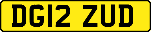 DG12ZUD