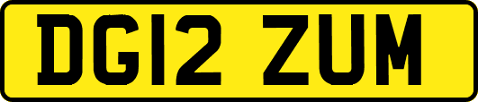 DG12ZUM