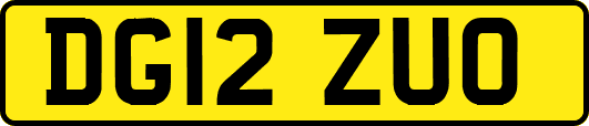 DG12ZUO