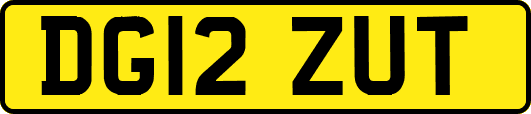 DG12ZUT