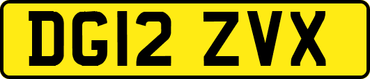 DG12ZVX