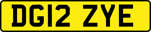DG12ZYE