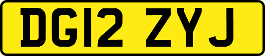 DG12ZYJ