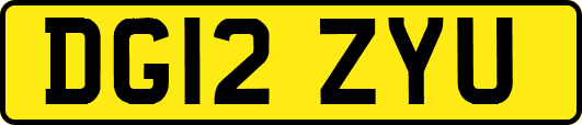DG12ZYU