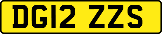 DG12ZZS