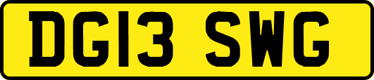 DG13SWG