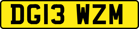 DG13WZM