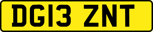 DG13ZNT