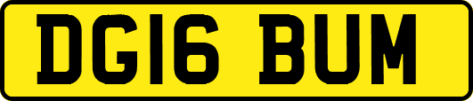 DG16BUM