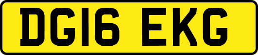DG16EKG