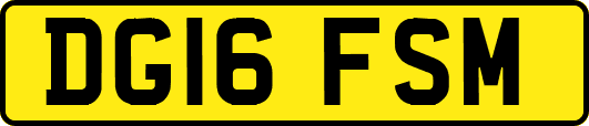 DG16FSM