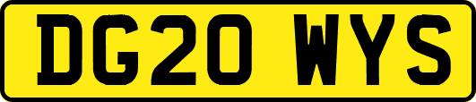 DG20WYS