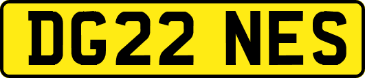 DG22NES
