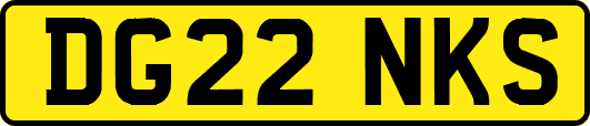 DG22NKS