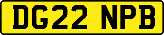 DG22NPB