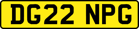DG22NPG
