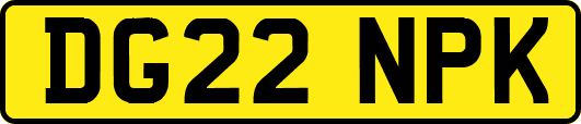 DG22NPK
