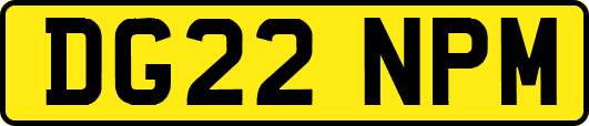 DG22NPM