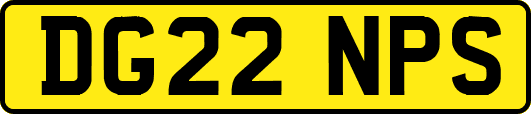 DG22NPS