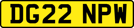 DG22NPW