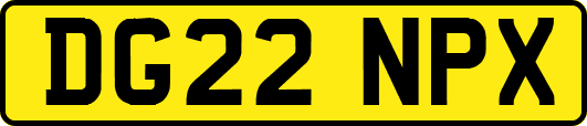 DG22NPX