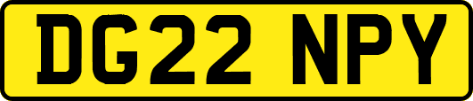 DG22NPY