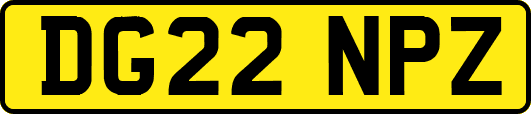 DG22NPZ