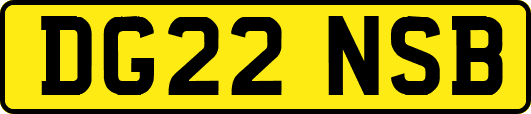 DG22NSB