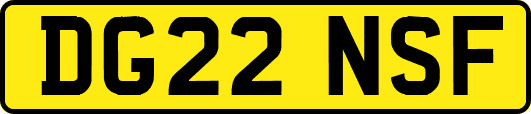 DG22NSF