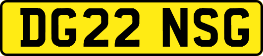DG22NSG
