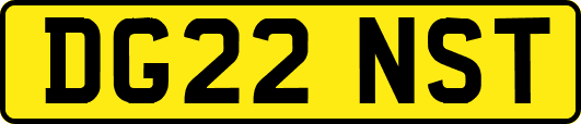 DG22NST