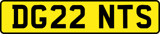 DG22NTS