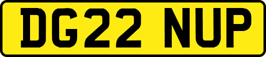 DG22NUP