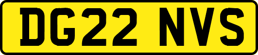 DG22NVS