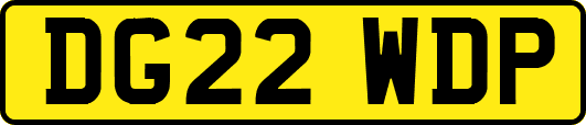 DG22WDP