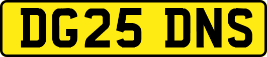 DG25DNS