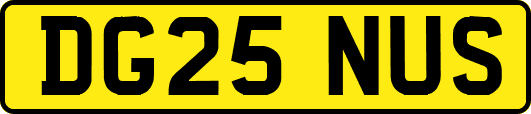 DG25NUS