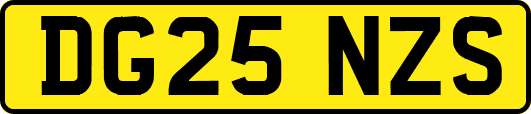 DG25NZS